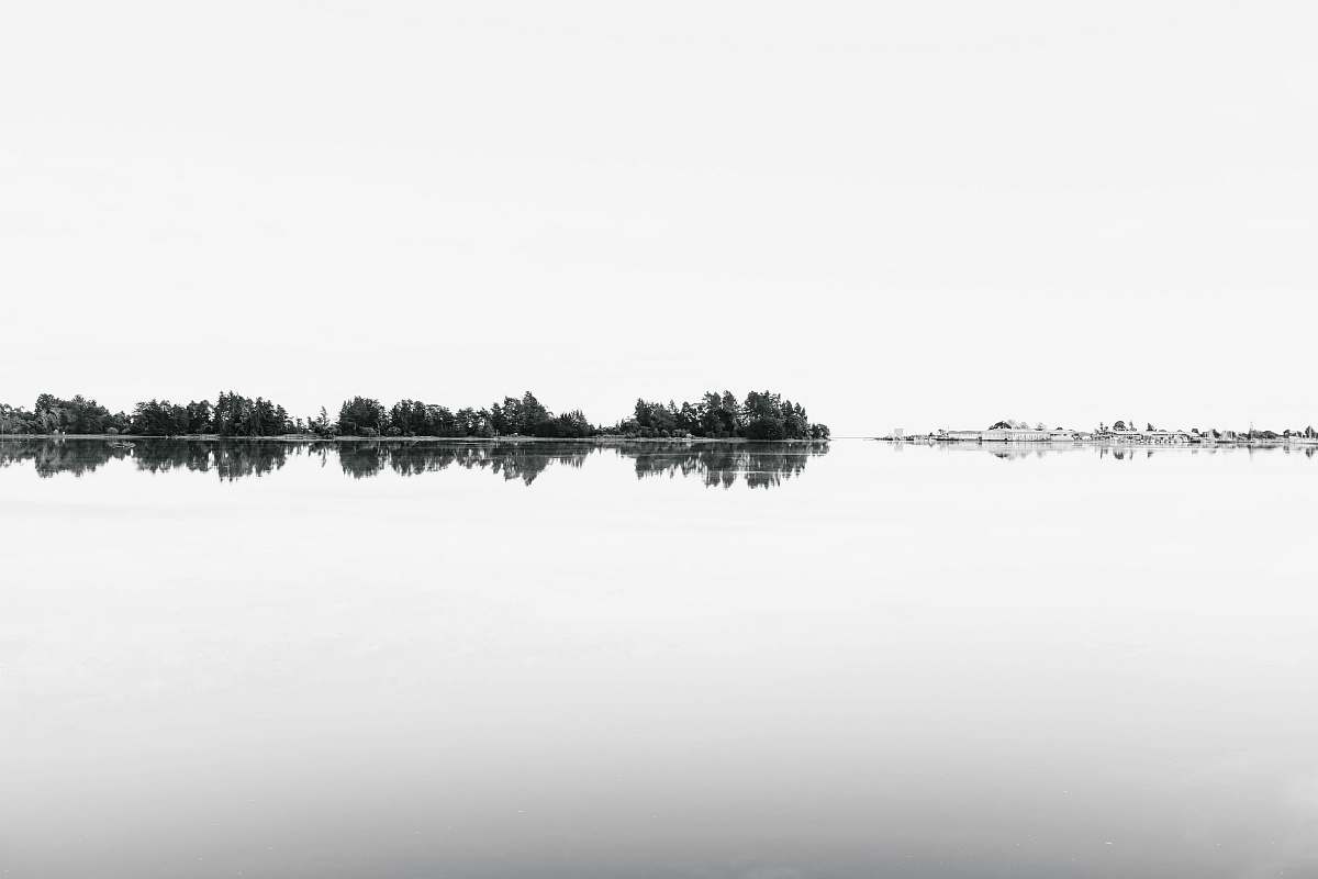 rabbit island reflection of trees in water new zealand